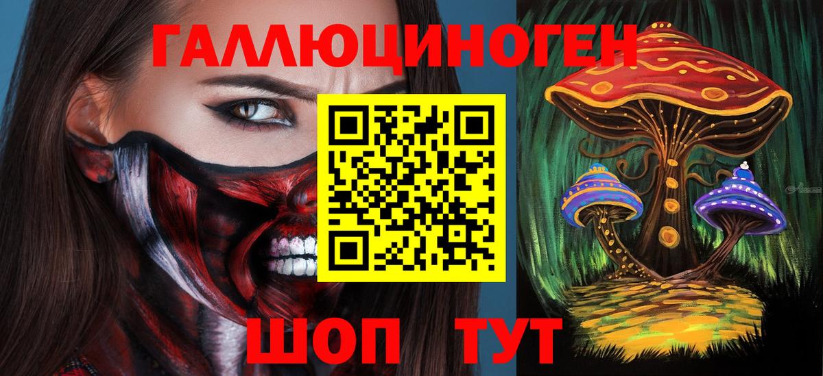 Лениногорск  Псилоцибиновые грибы Psilocybine cubensis  Галлюциногенные грибы Psilocybe  Вход с VPN 